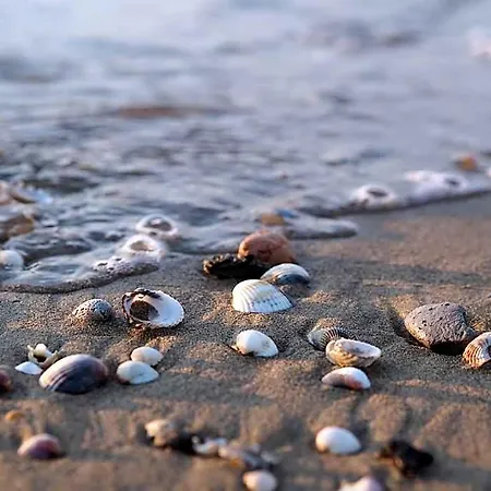 Relaxing Intimate Close To The Bibione